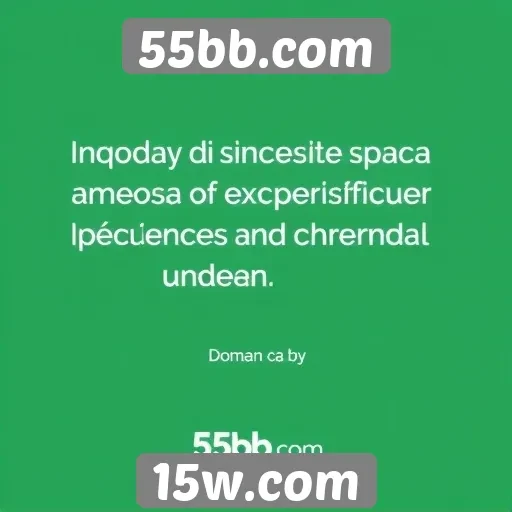 Usuários falam sobre experiências no 55bb.com